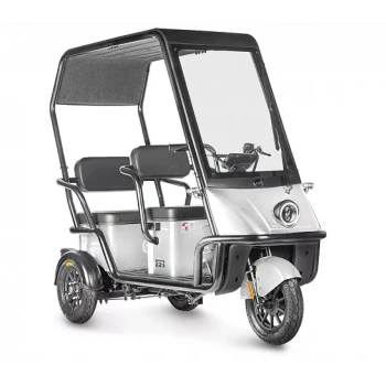 Электротрицикл Wanshida NIPLA 500 60V 1000Вт Черно-белый